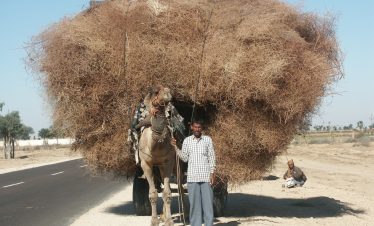 Highlights of Rajasthan Tour