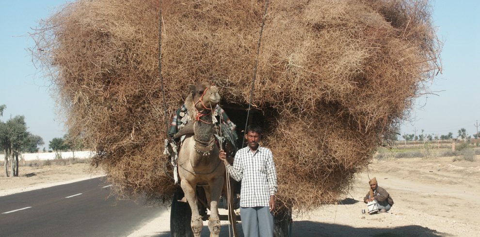 Highlights of Rajasthan Tour