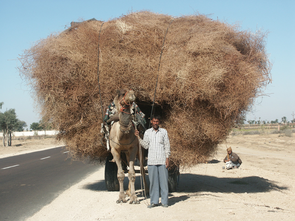 Highlights of Rajasthan Tour