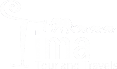 Tima Tour and Travels White