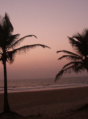 Benaulim Beach Goa