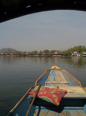 Boat Trip