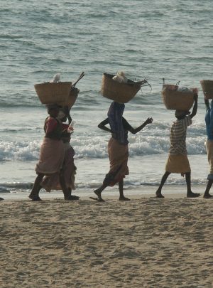 Benaulim Beach Goa
