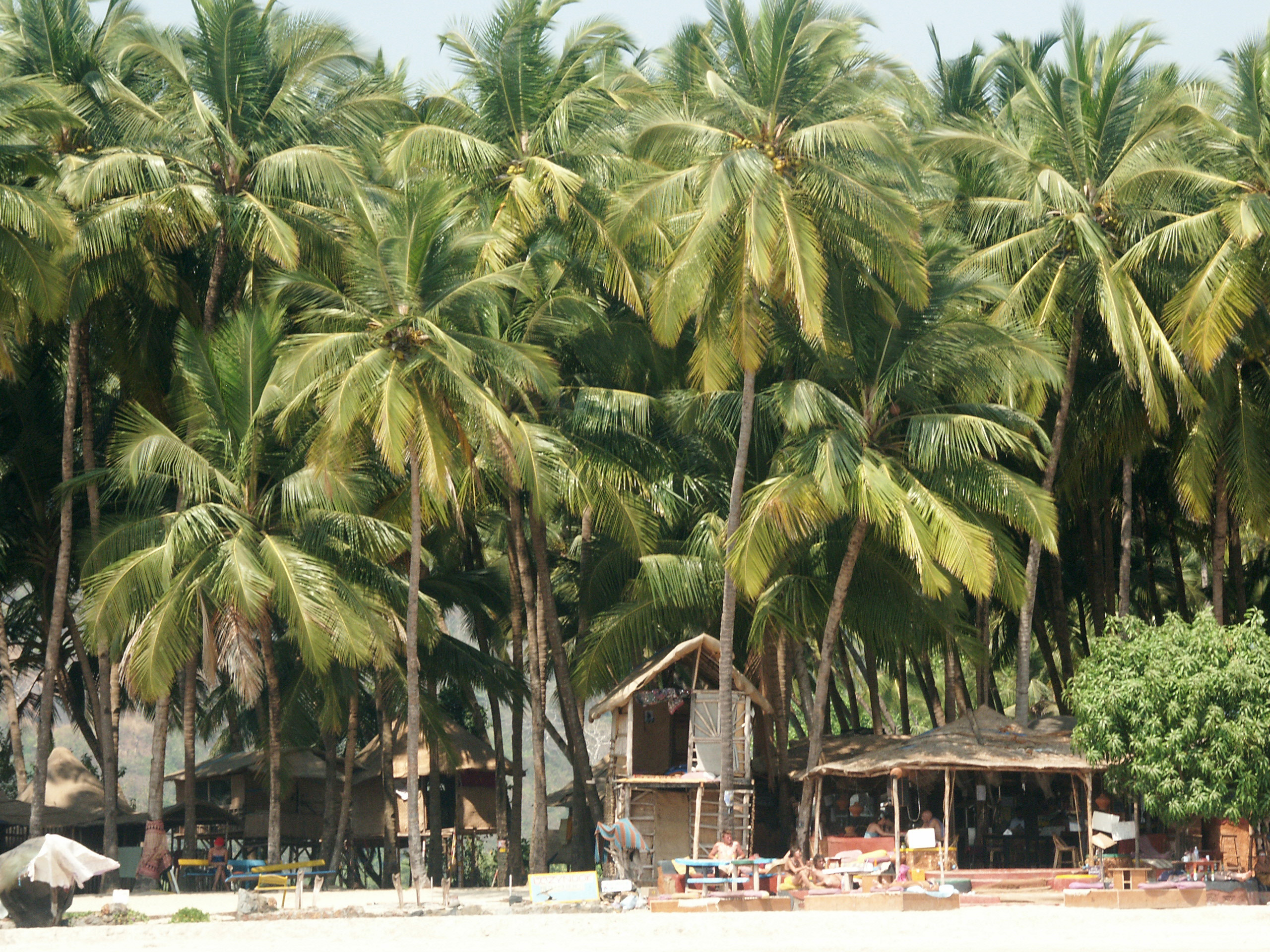 Palolem Beach Goa