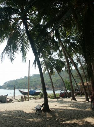 Gems between Delhi to Goa Tour