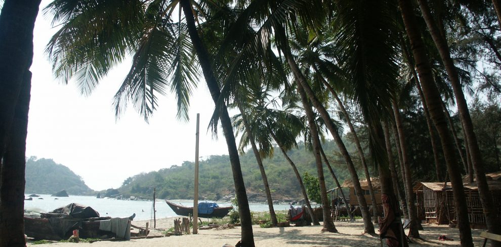 Gems between Delhi to Goa Tour