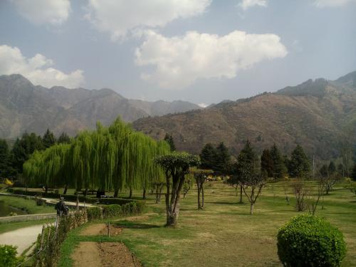 Kashmir