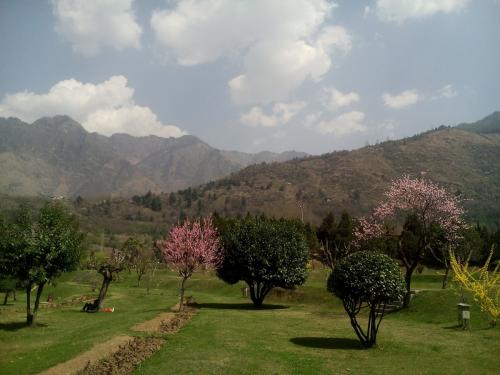 Kashmir
