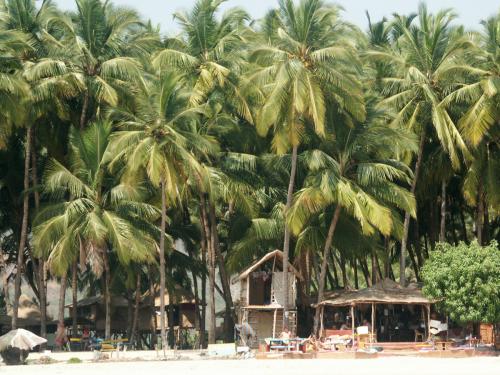 Palolem Beach Goa
