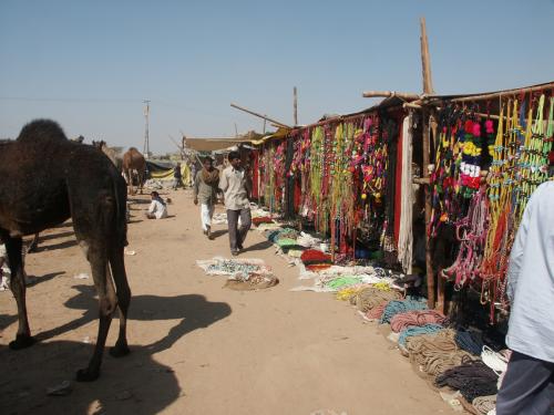 Pushkar